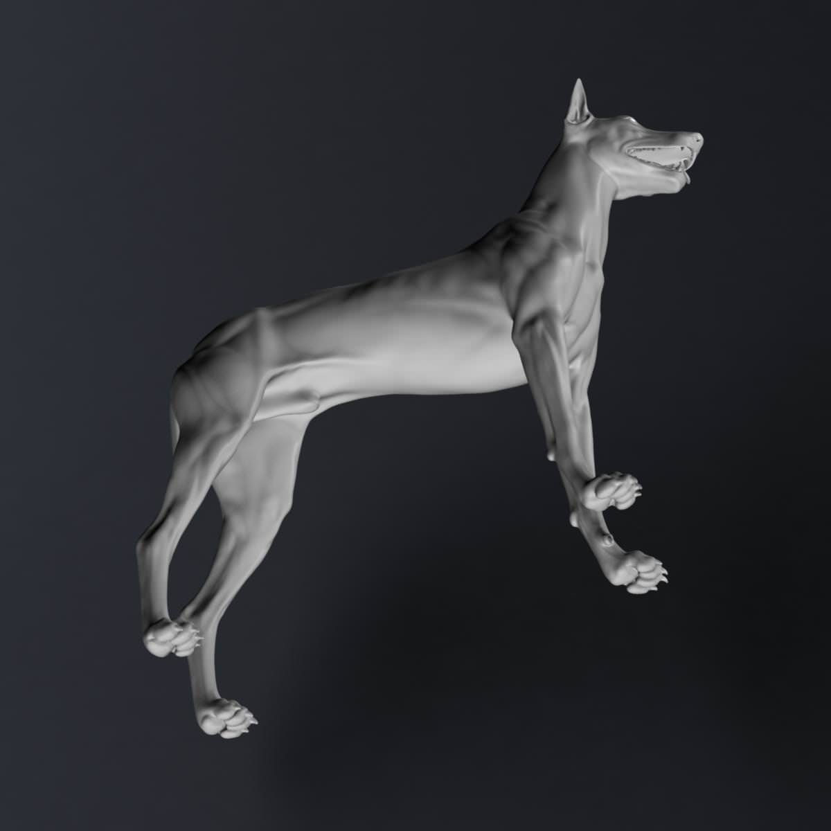 Doberman Model 3D model_13