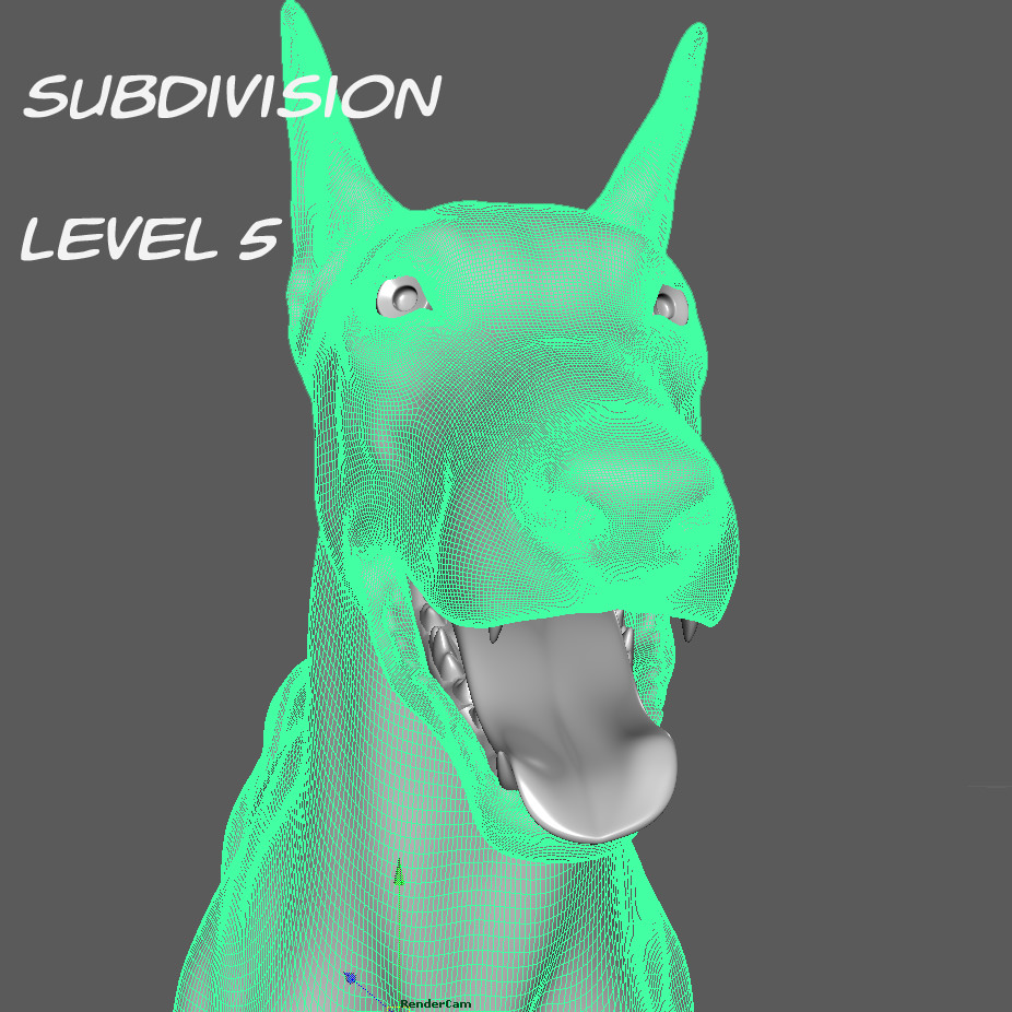 Doberman Model 3D model_23