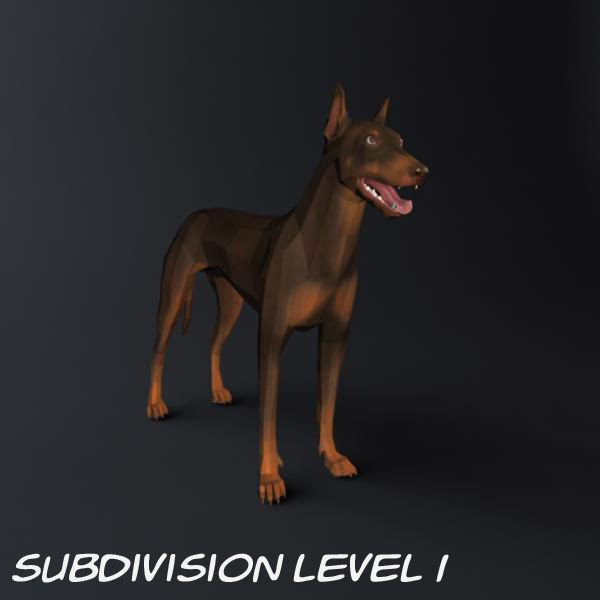 Doberman Model 3D model_24