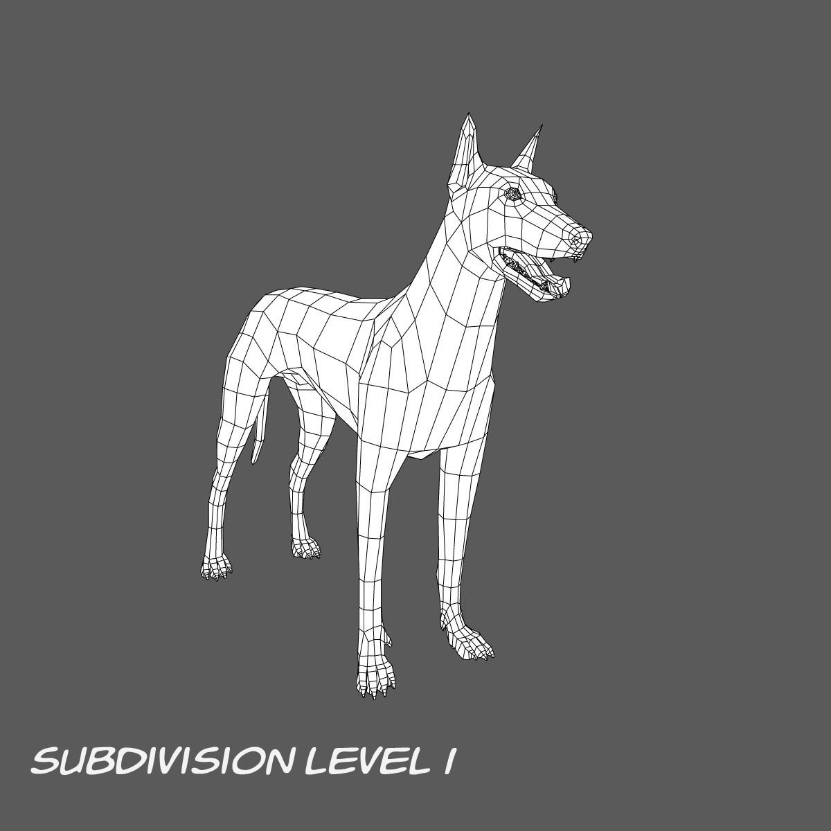 Doberman Model 3D model_19