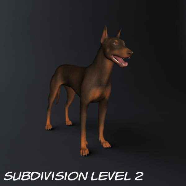 Doberman Model 3D model_25