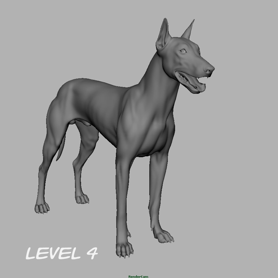 Doberman Model 3D model_17