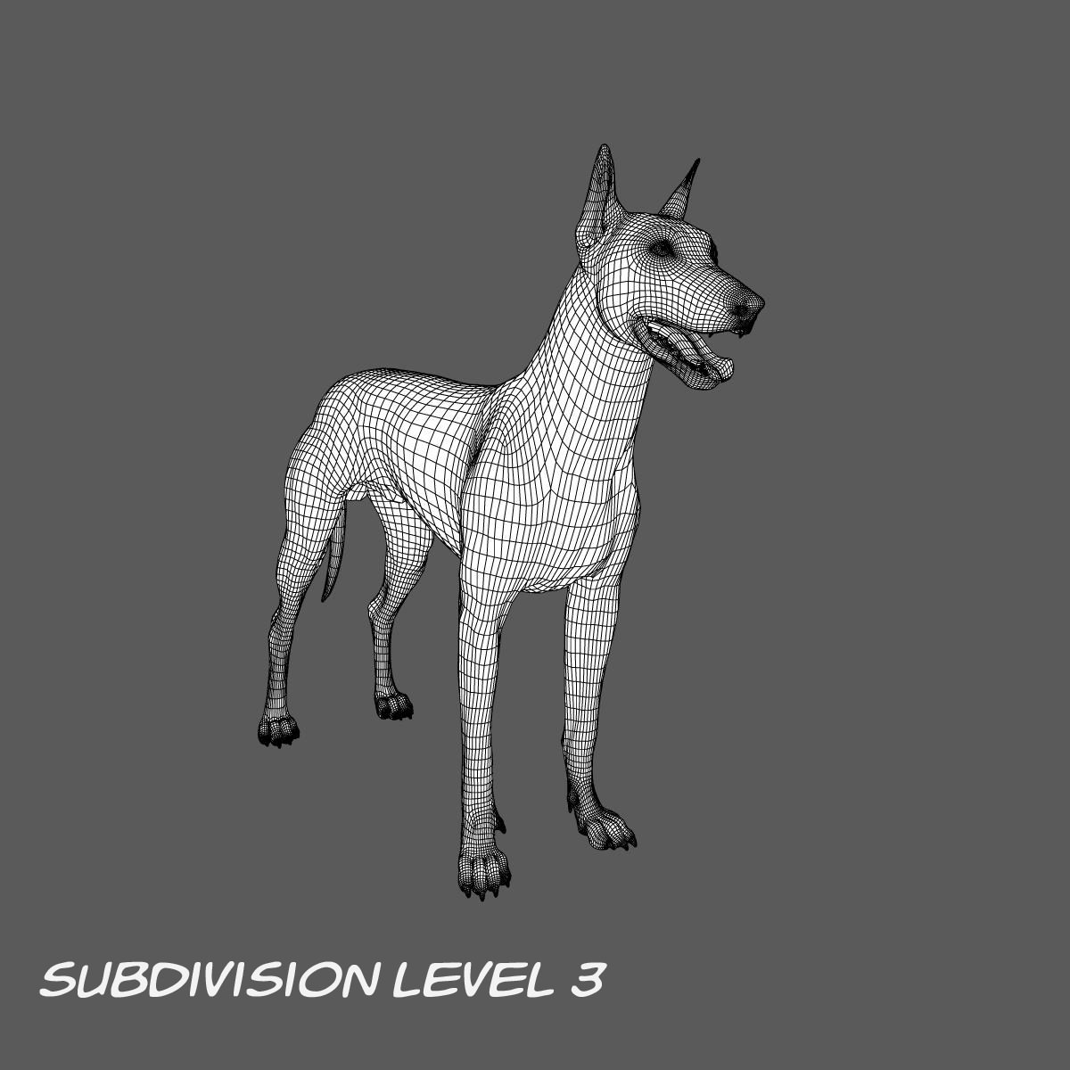 Doberman Model 3D model_20