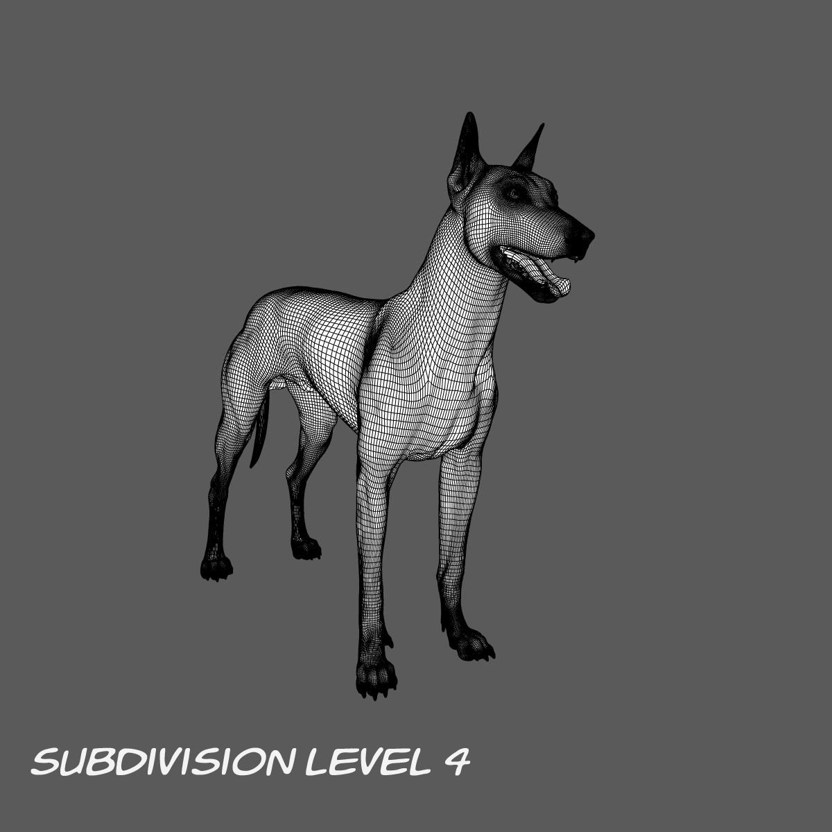 Doberman Model 3D model_22