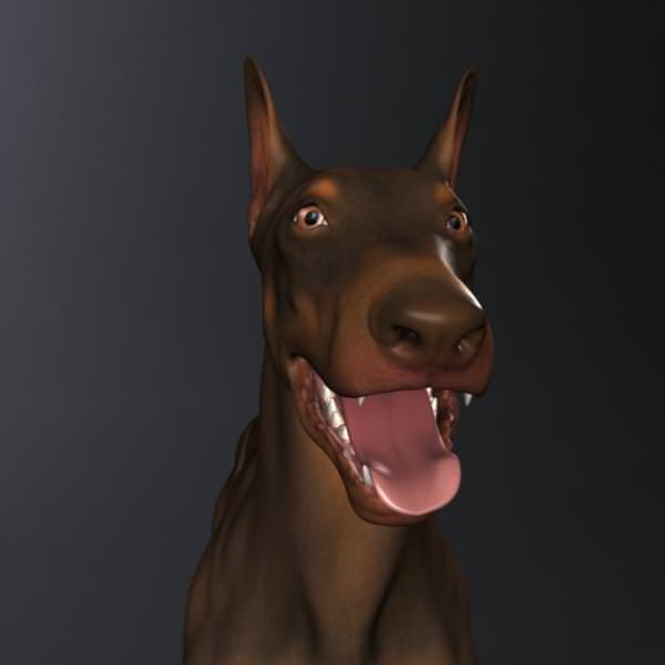 Doberman Model 3D model_1