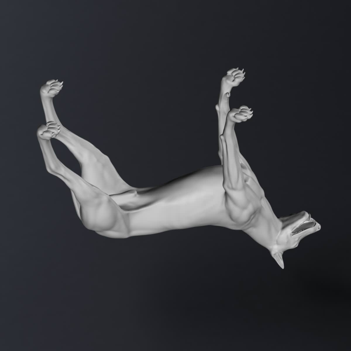 Doberman Model 3D model_12