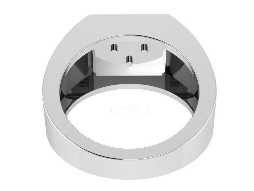 Coat of arms  rimg 3008 3D print model 3D print model_3
