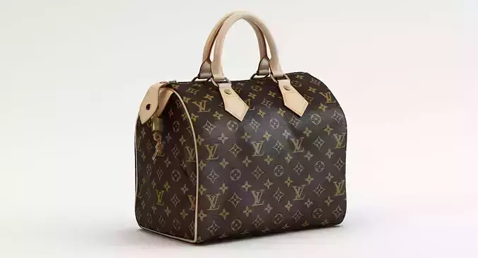 Speedy 25 Hand Bag Classic