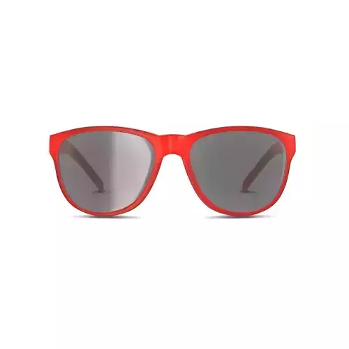 Adidas Wildcharge - A425 Sport glasses Low-poly 3D model
