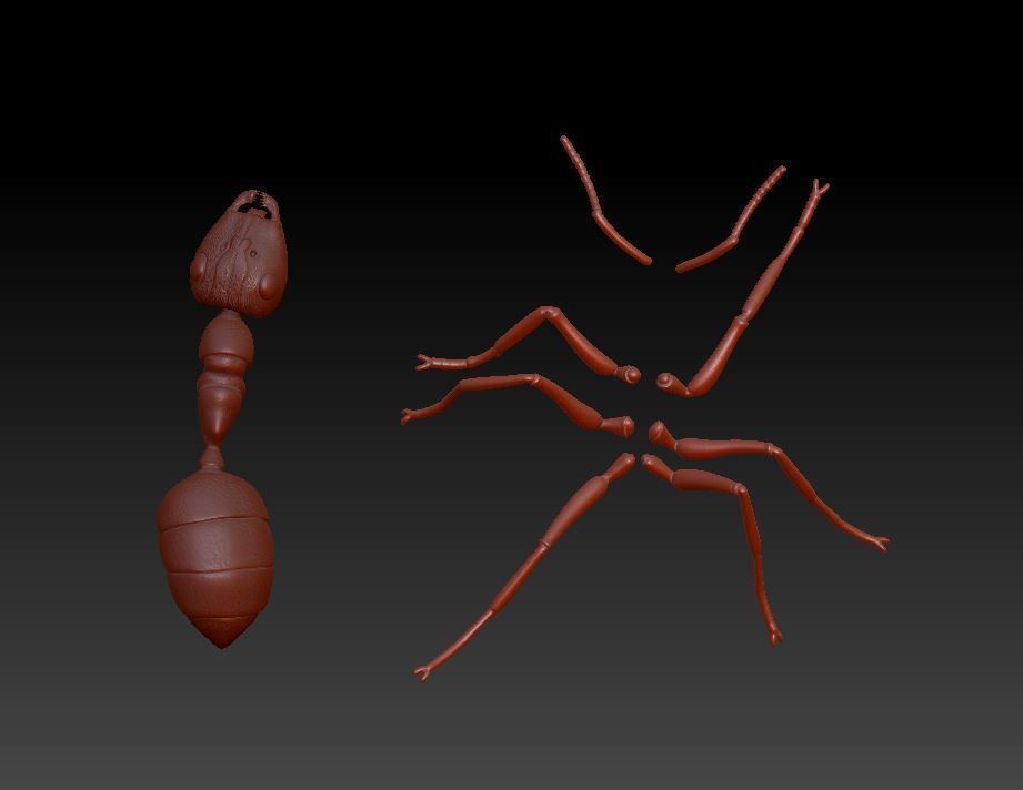 Ant  different poses 3D print model_8