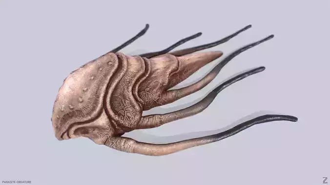 Parasite creature Low-poly 3D model