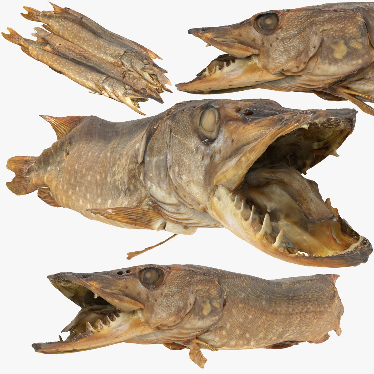 Pike cold smoked Low-poly 3D model_2