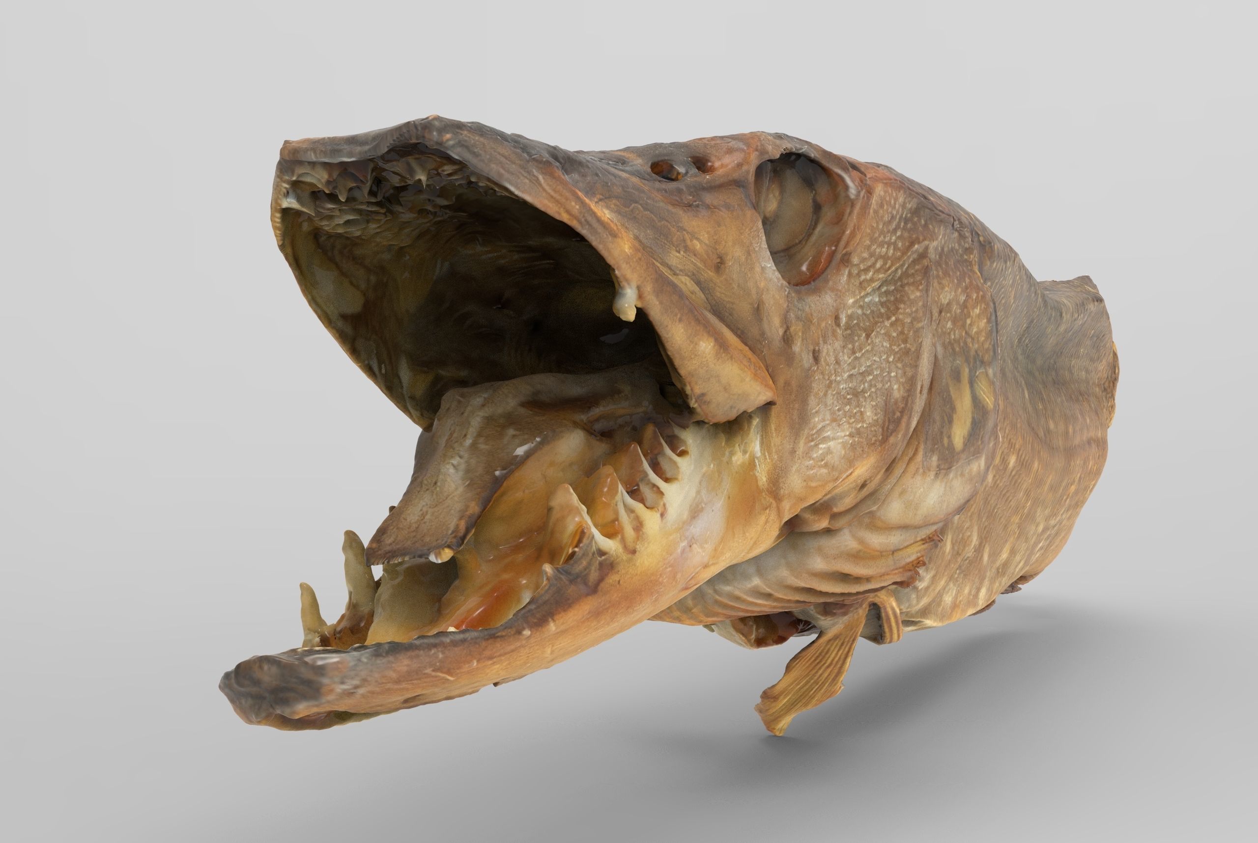 Pike cold smoked Low-poly 3D model_4