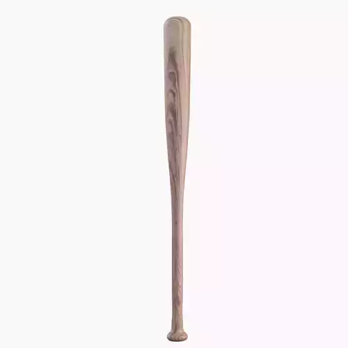Baseball Bat