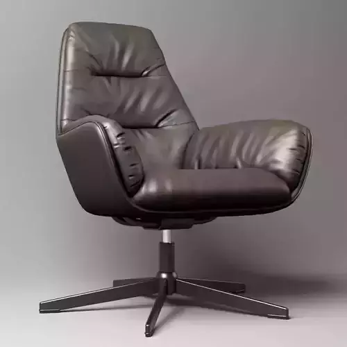 Leather Chair