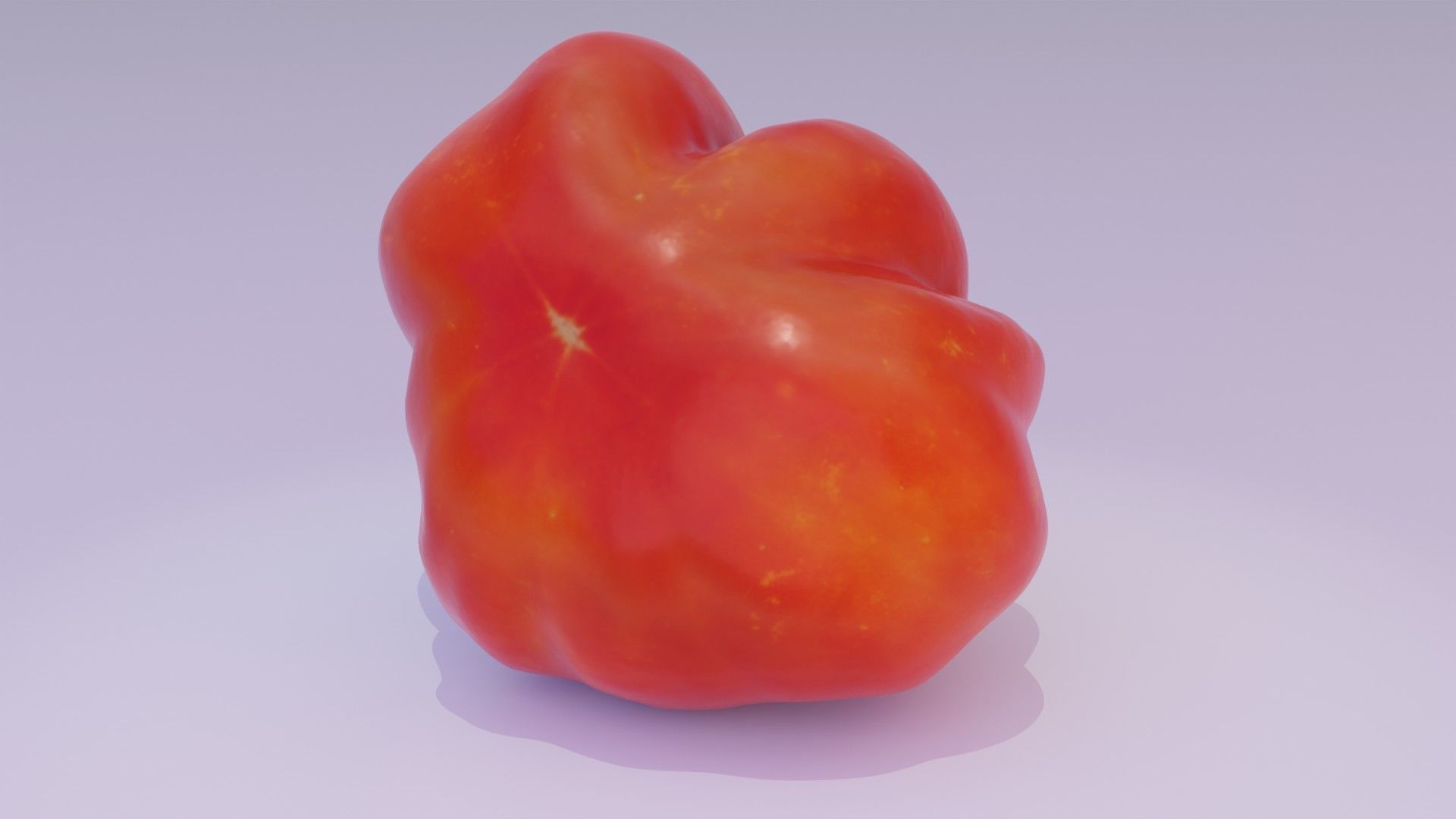 Tomato 04 high-poly 3D model_15