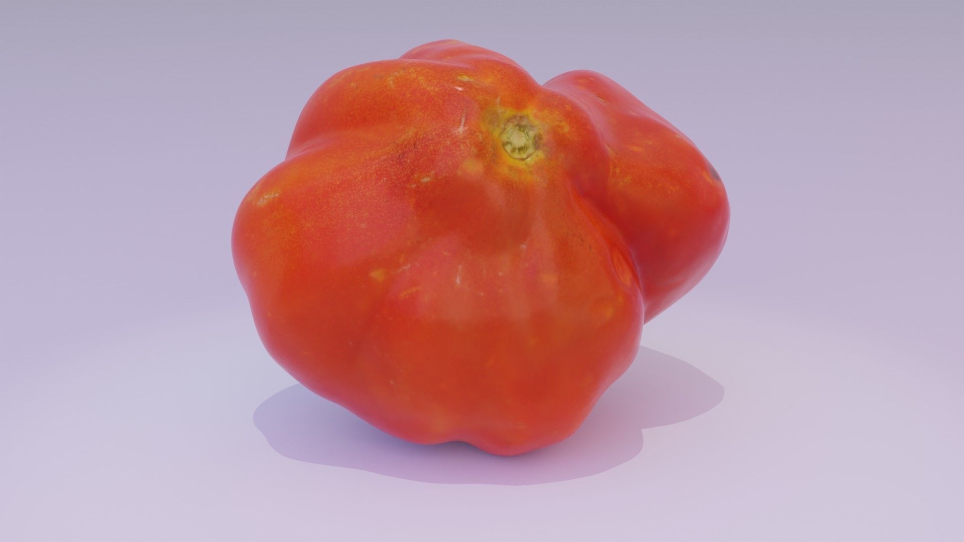 Tomato 04 high-poly 3D model_11