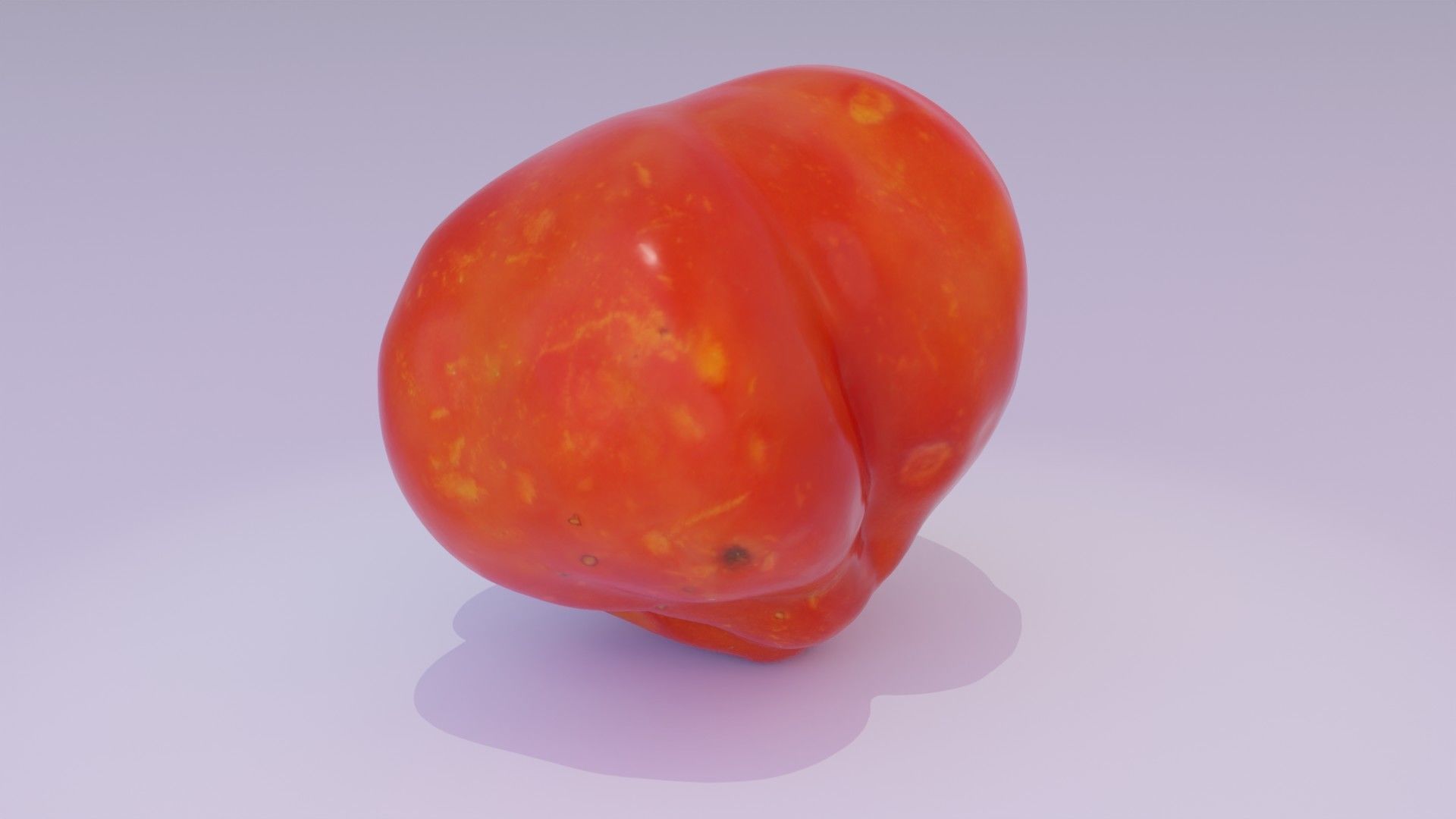 Tomato 04 high-poly 3D model_19