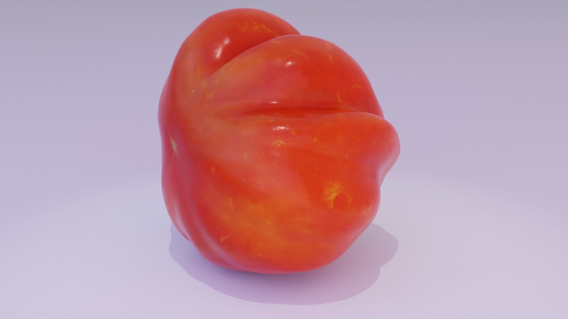Tomato 04 high-poly 3D model_14