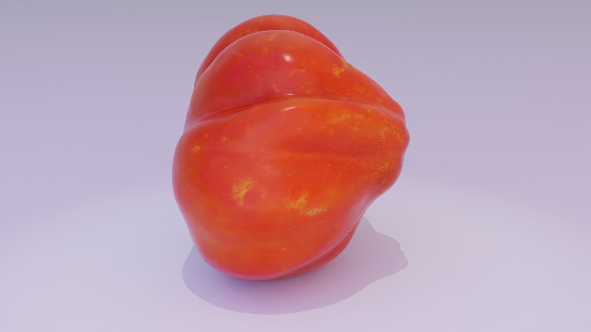 Tomato 04 high-poly 3D model_13