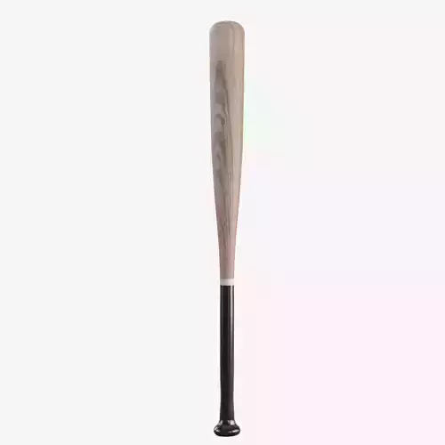 Baseball Bat