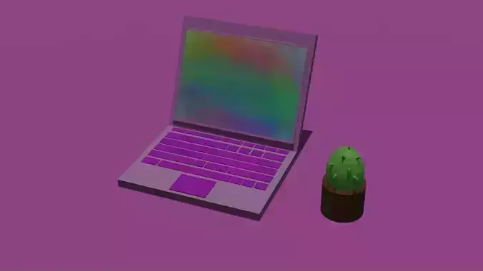 Pink Computer and  cactus