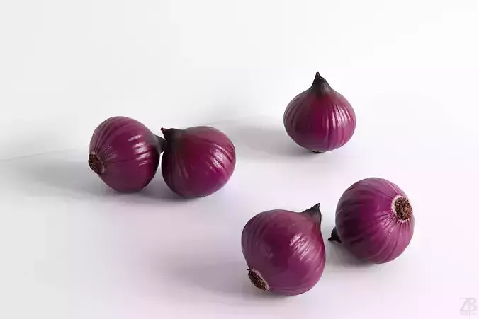 Onion 3D model