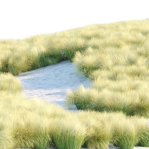 Maram Grass collection vol 155 3D model 7