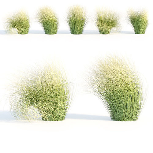 Maram Grass collection vol 155 3D model 4