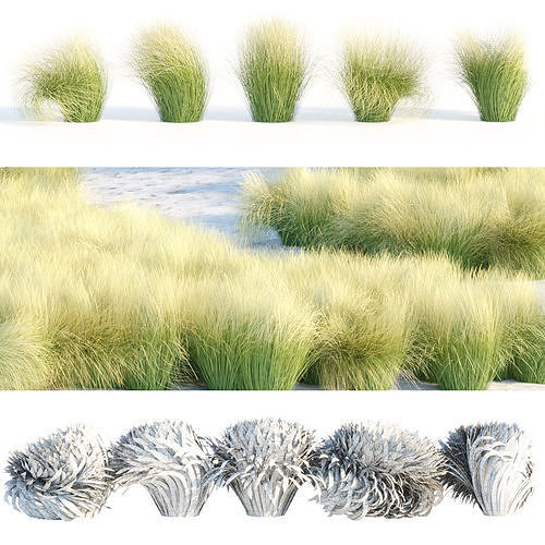 Maram Grass collection vol 155 3D model 6