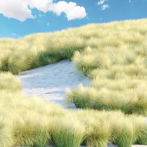 Maram Grass collection vol 155 3D model 2