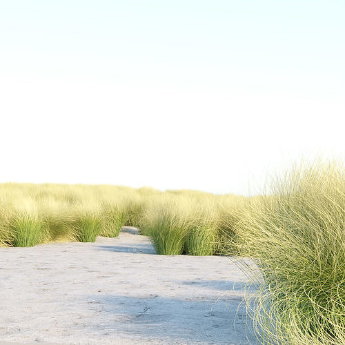 Maram Grass collection vol 155 3D model 3