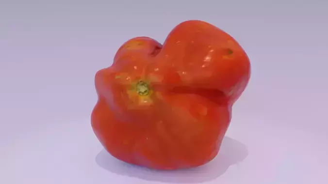 Tomato 04