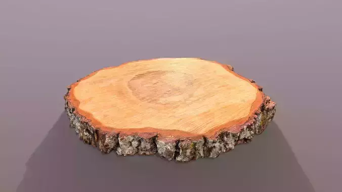 Wooden Log Slice Wedding Cake Stand