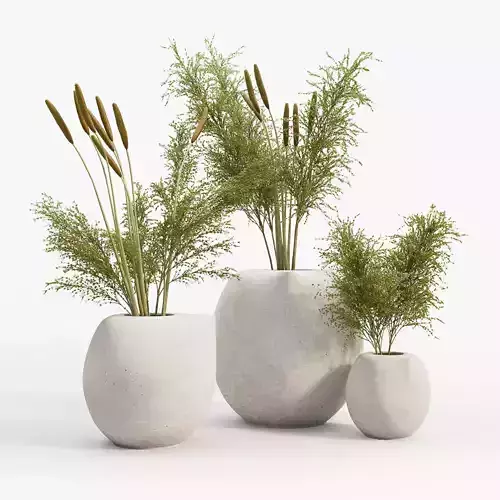 Nib Vases 3D model