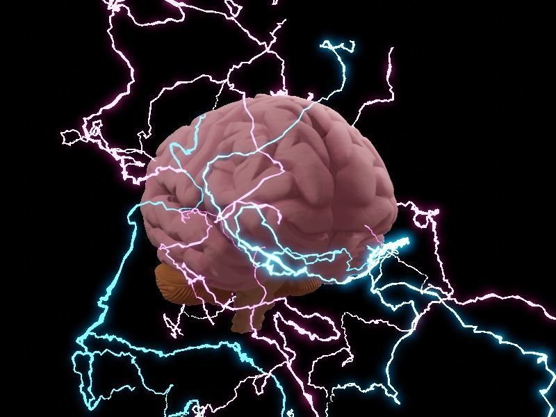 Animated Brain 3d model  Low-poly 3D model_6