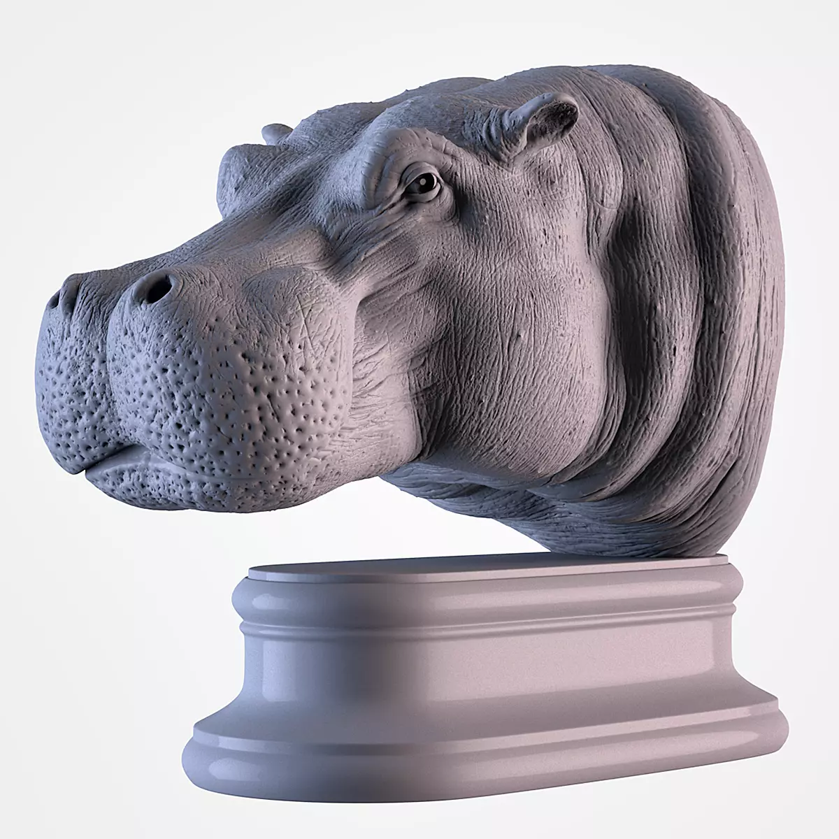 Hippopotamus Head 3D print model_0