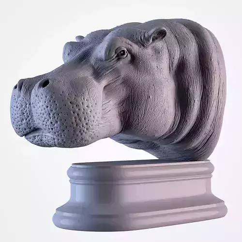 Hippopotamus Head 3D print model