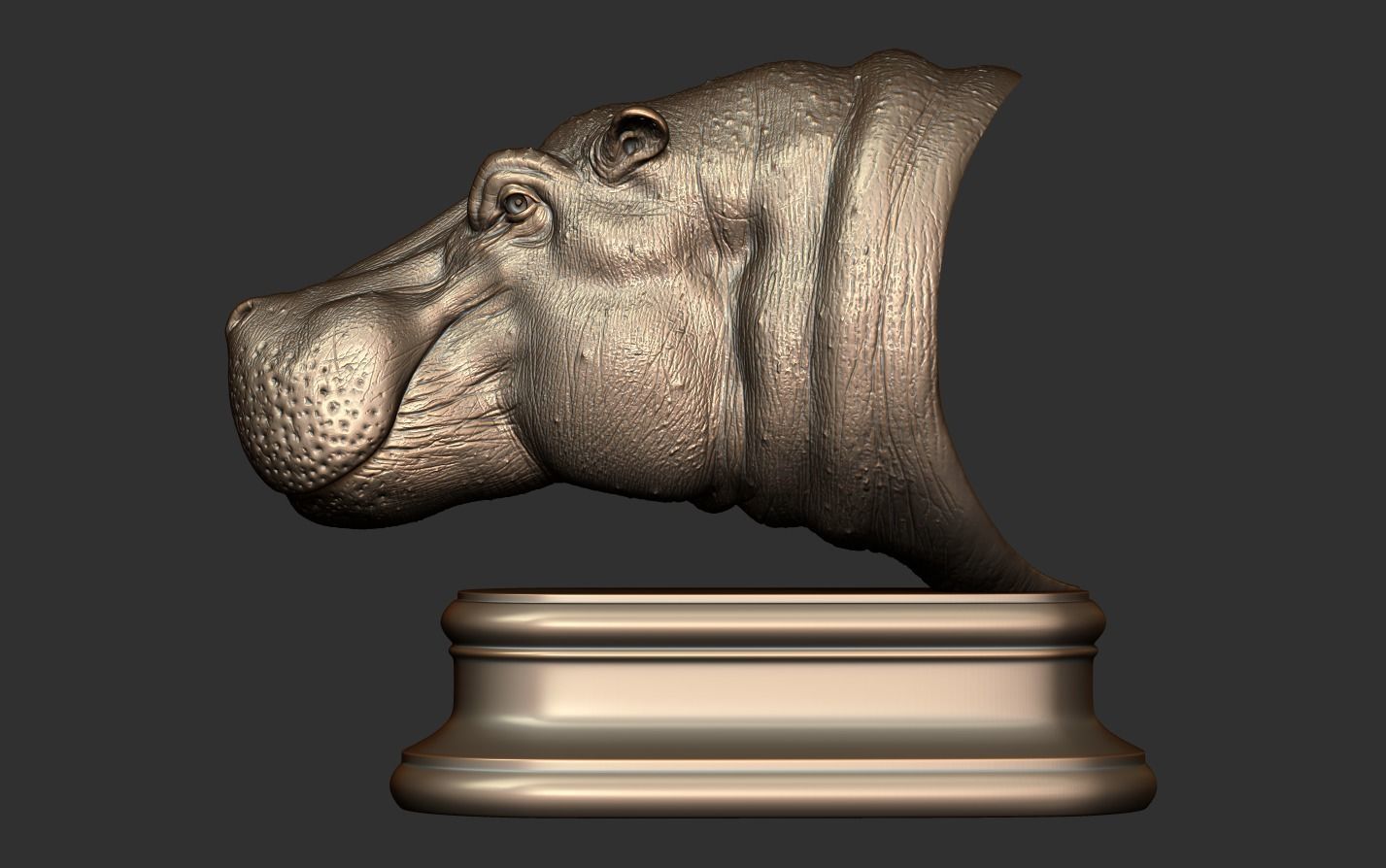 Hippopotamus Head 3D print model_15