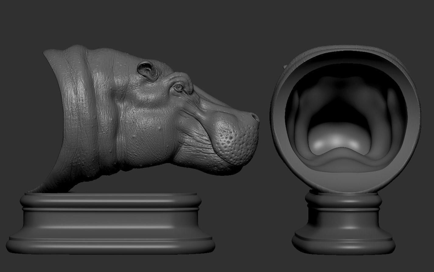Hippopotamus Head 3D print model_10