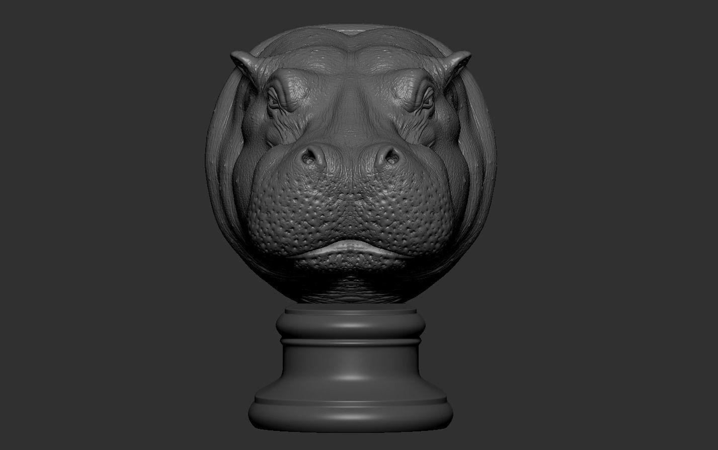 Hippopotamus Head 3D print model_12