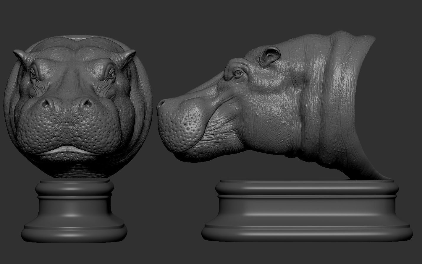 Hippopotamus Head 3D print model_9
