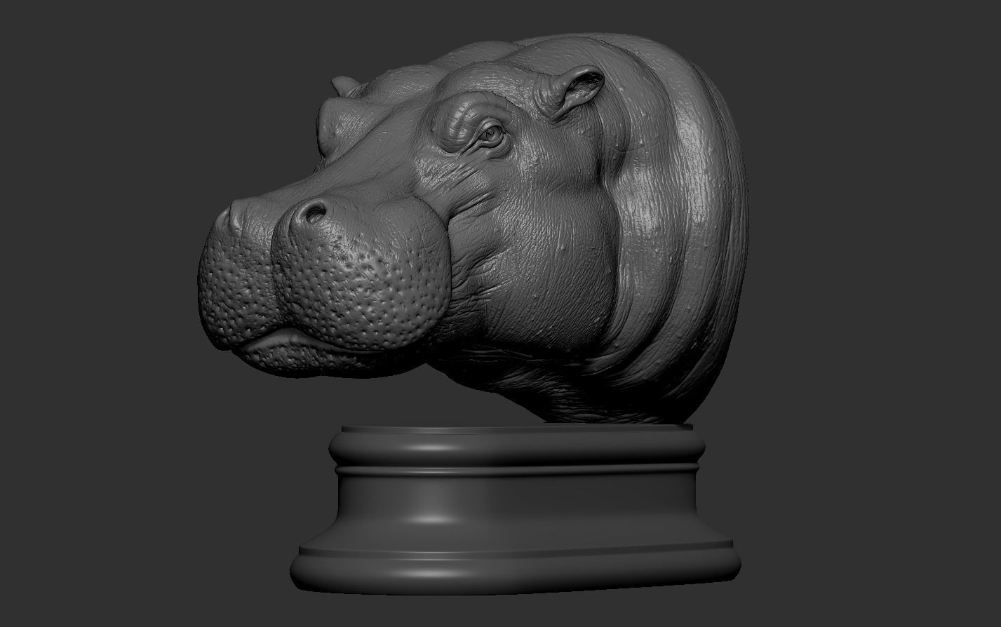 Hippopotamus Head 3D print model_13