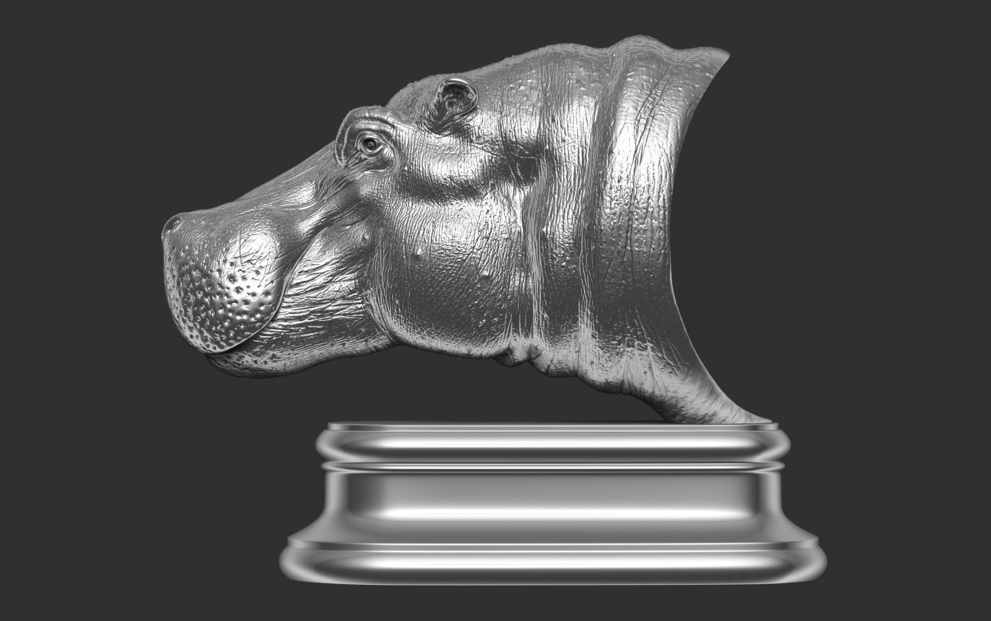Hippopotamus Head 3D print model_18