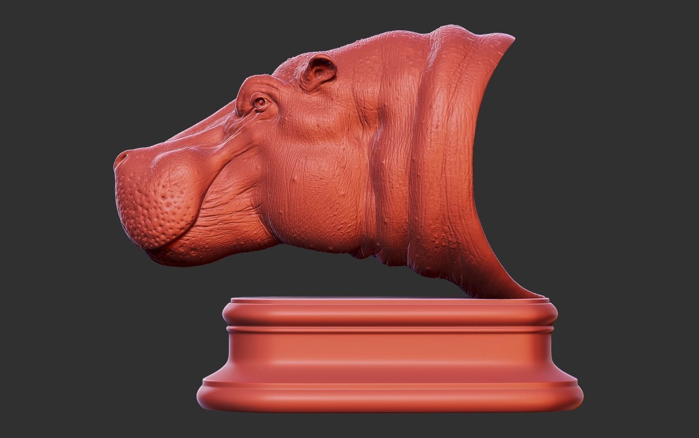 Hippopotamus Head 3D print model_17