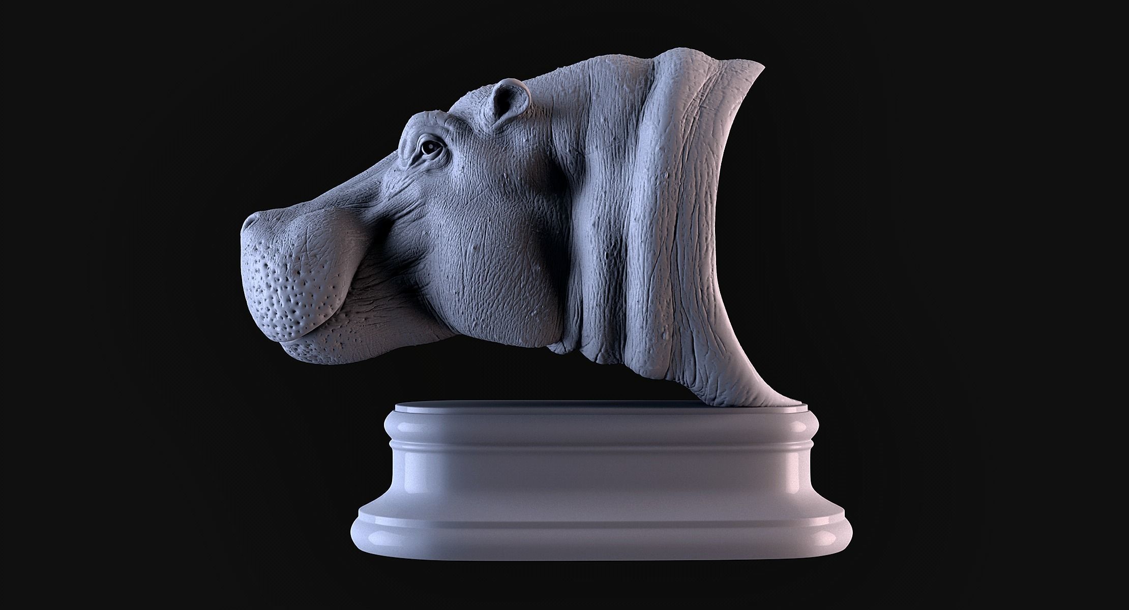 Hippopotamus Head 3D print model_7