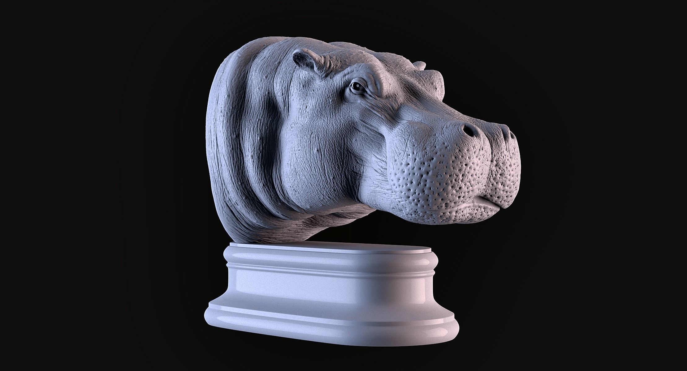Hippopotamus Head 3D print model_2