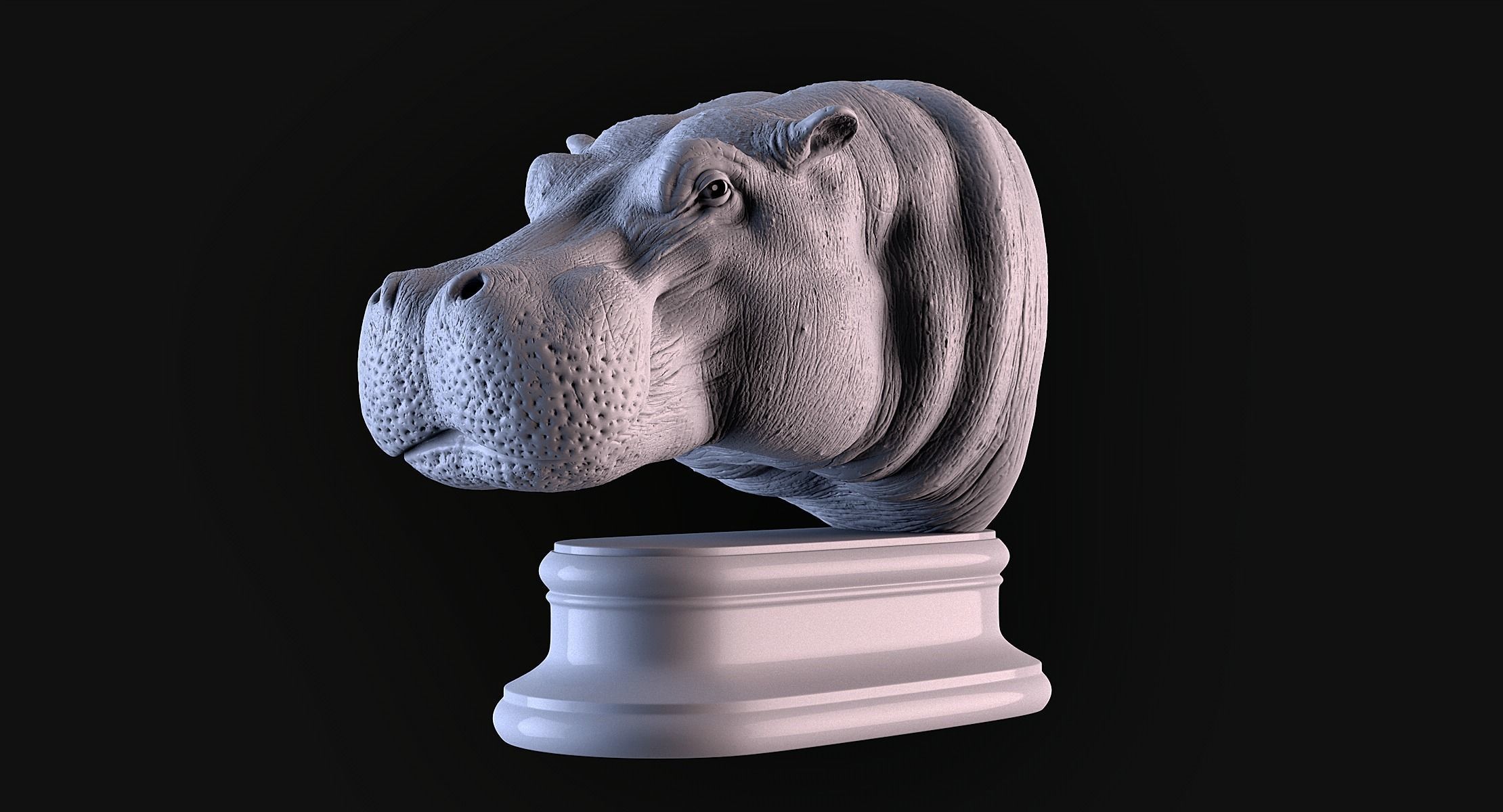 Hippopotamus Head 3D print model_8