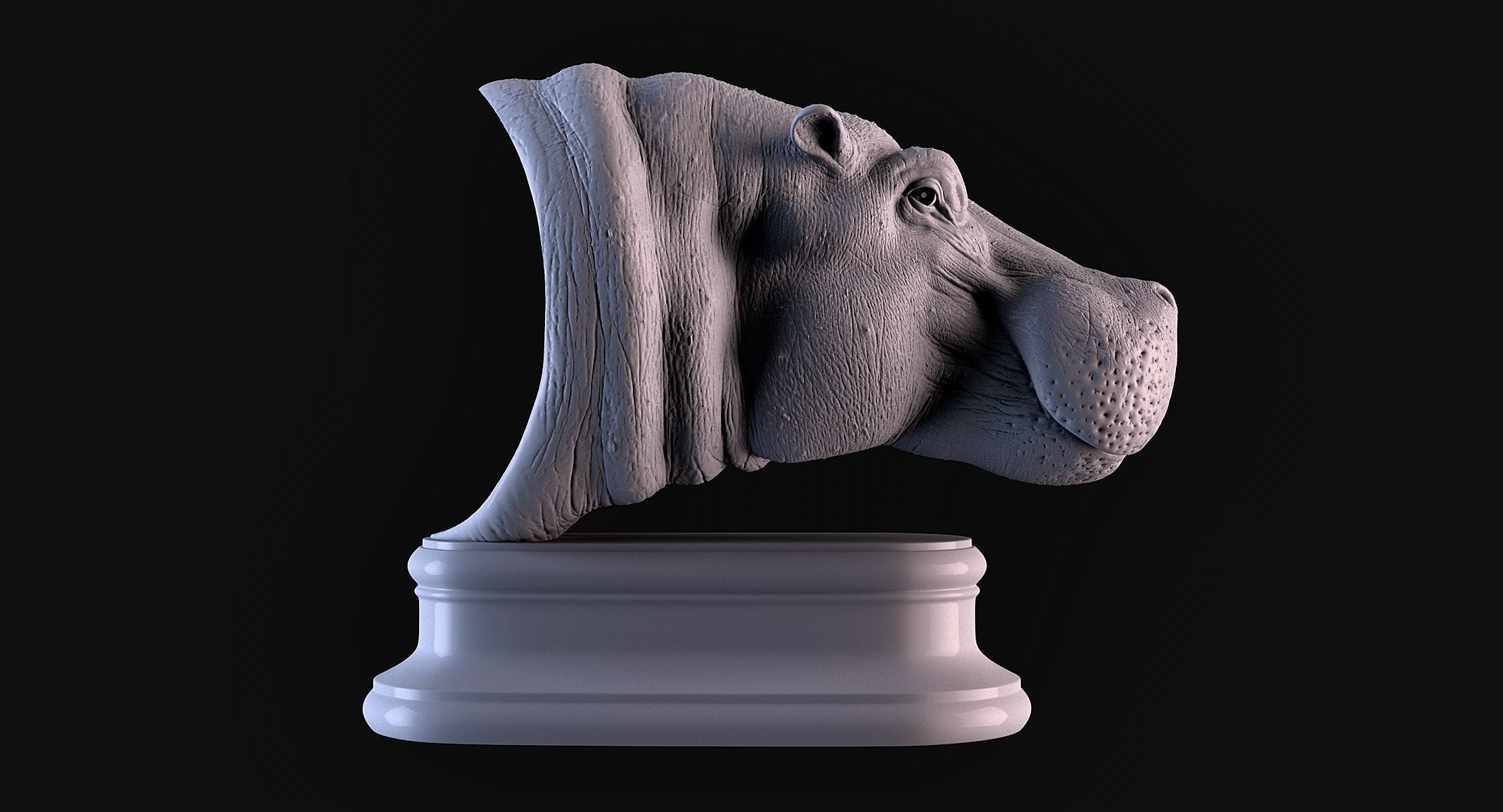 Hippopotamus Head 3D print model_3