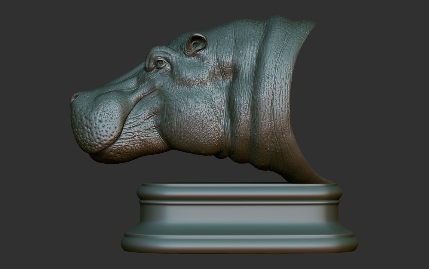 Hippopotamus Head 3D print model_16